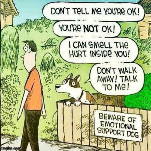 image tagged in comics/cartoons | made w/ Imgflip meme maker