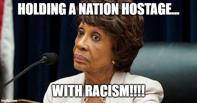 Holding a nation hostage.. | HOLDING A NATION HOSTAGE... WITH RACISM!!!! | image tagged in racist,blm,maxine waters | made w/ Imgflip meme maker