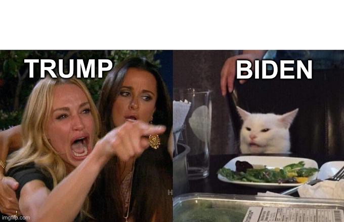 THE ELECTION | TRUMP; BIDEN | image tagged in memes,woman yelling at cat | made w/ Imgflip meme maker