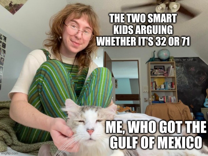 What are you guys saying?! The answer is OBVIOUSLY the Gulf of Mexico! | THE TWO SMART KIDS ARGUING WHETHER IT'S 32 OR 71; ME, WHO GOT THE
GULF OF MEXICO | image tagged in cat,memes,school,school meme | made w/ Imgflip meme maker