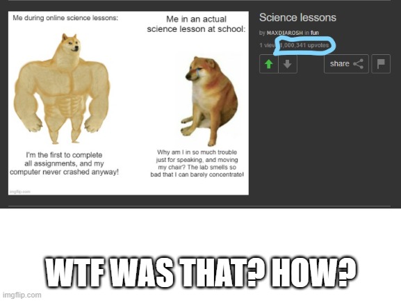 wait what? | WTF WAS THAT? HOW? | image tagged in impossible | made w/ Imgflip meme maker