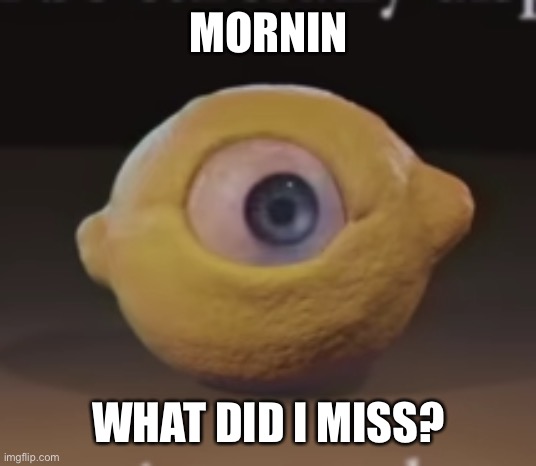 Shocked Omega Mart Lemon | MORNIN; WHAT DID I MISS? | image tagged in shocked omega mart lemon | made w/ Imgflip meme maker