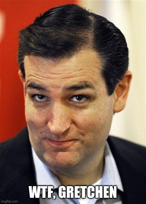 Bashful Ted Cruz | WTF, GRETCHEN | image tagged in bashful ted cruz | made w/ Imgflip meme maker