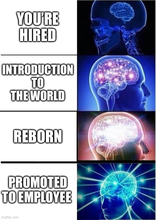 The art of the job | YOU’RE HIRED; INTRODUCTION TO THE WORLD; REBORN; PROMOTED TO EMPLOYEE | image tagged in memes,expanding brain | made w/ Imgflip meme maker