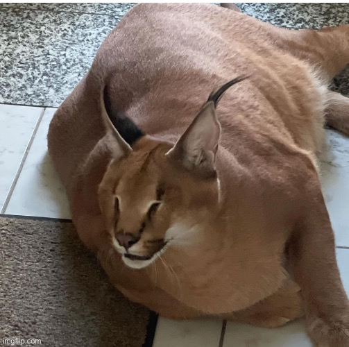 Floppa chonk | made w/ Imgflip meme maker