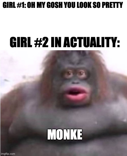 monke | GIRL #1: OH MY GOSH YOU LOOK SO PRETTY; GIRL #2 IN ACTUALITY:; MONKE | image tagged in monkey,ugly girl,memes,good memes,funny memes,best memes | made w/ Imgflip meme maker