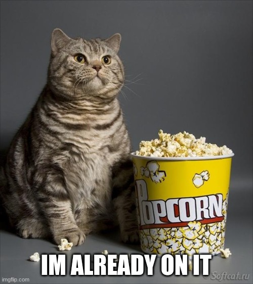 Cat eating popcorn | IM ALREADY ON IT | image tagged in cat eating popcorn | made w/ Imgflip meme maker