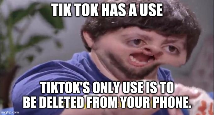 I'll take your entire stock | TIK TOK HAS A USE; TIKTOK'S ONLY USE IS TO BE DELETED FROM YOUR PHONE. | image tagged in i'll take your entire stock | made w/ Imgflip meme maker