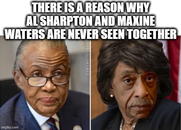 Maxine and Sharpton |  THERE IS A REASON WHY AL SHARPTON AND MAXINE WATERS ARE NEVER SEEN TOGETHER | image tagged in al sharpton,maxine waters,democrats,republicans,riots | made w/ Imgflip meme maker