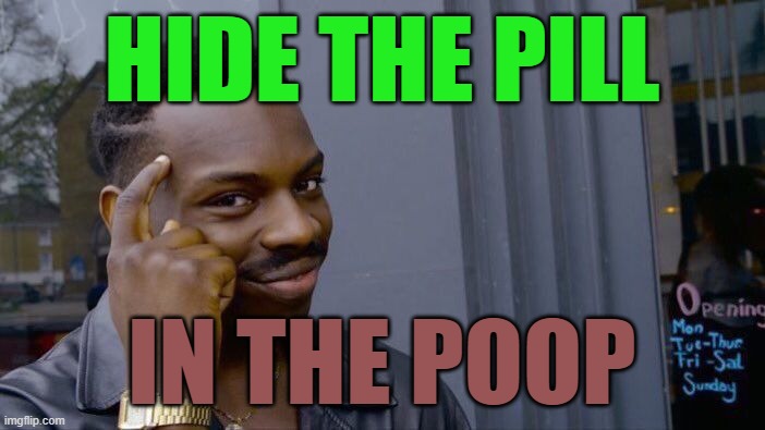 Roll Safe Think About It Meme | HIDE THE PILL IN THE POOP | image tagged in memes,roll safe think about it | made w/ Imgflip meme maker