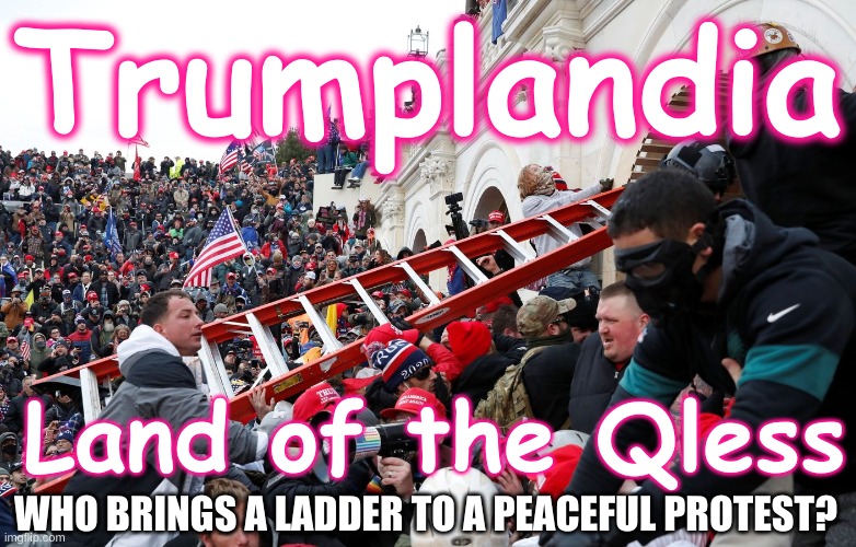 Who brings a ladder to peaceful protest? | Trumplandia; Land of the Qless; WHO BRINGS A LADDER TO A PEACEFUL PROTEST? | image tagged in trump,insurrection,capitol riot,treason,sedition,republican | made w/ Imgflip meme maker