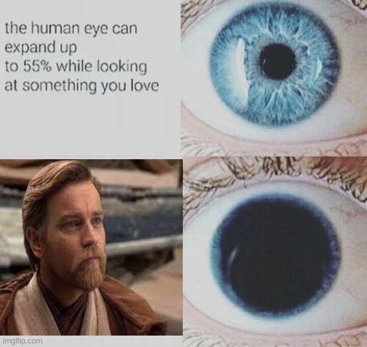 you have to admit that obi wan is a magnificent creation tho | image tagged in obi wan kenobi,star wars | made w/ Imgflip meme maker