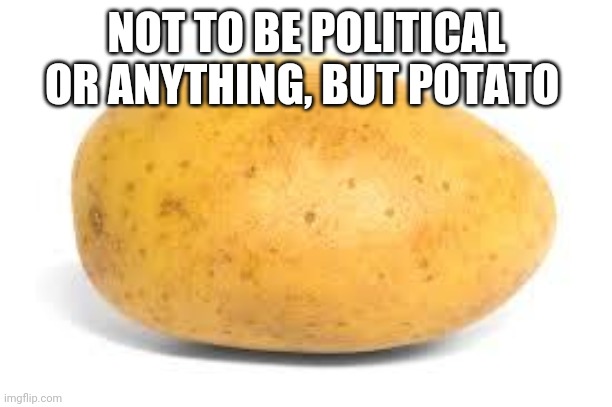 Potato | NOT TO BE POLITICAL OR ANYTHING, BUT POTATO | image tagged in potato | made w/ Imgflip meme maker