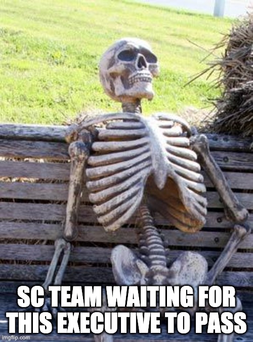 Waiting Skeleton Meme | SC TEAM WAITING FOR THIS EXECUTIVE TO PASS | image tagged in memes,waiting skeleton | made w/ Imgflip meme maker