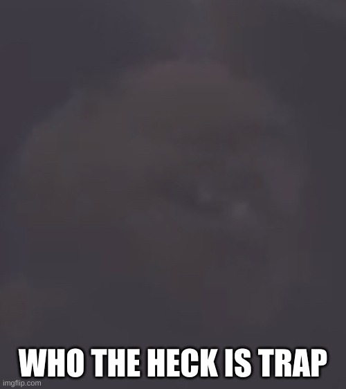 who | WHO THE HECK IS TRAP | made w/ Imgflip meme maker