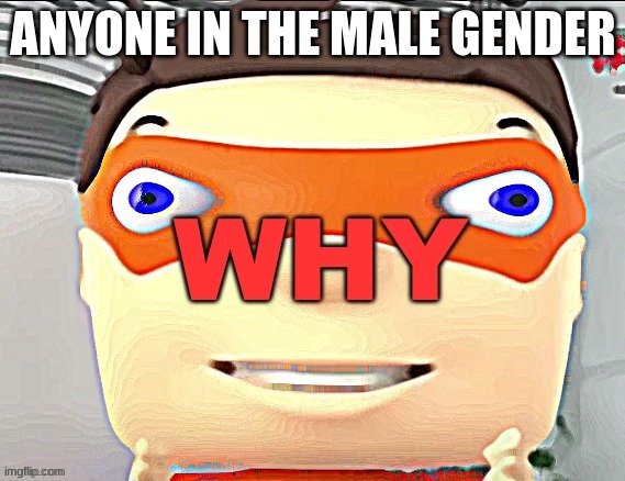 why | ANYONE IN THE MALE GENDER | image tagged in why | made w/ Imgflip meme maker