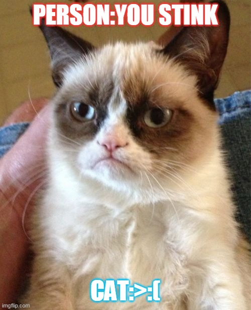 hahahahhaha | PERSON:YOU STINK; CAT:>:( | image tagged in memes,grumpy cat,lol,kitty cat,meow | made w/ Imgflip meme maker