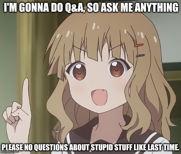 Q&A :3 | I'M GONNA DO Q&A, SO ASK ME ANYTHING; PLEASE NO QUESTIONS ABOUT STUPID STUFF LIKE LAST TIME. | image tagged in the person above me | made w/ Imgflip meme maker