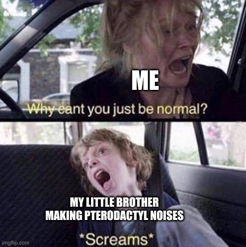 ugh |  ME; MY LITTLE BROTHER MAKING PTERODACTYL NOISES | image tagged in why can't you just be normal | made w/ Imgflip meme maker