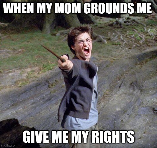 Harry potter | WHEN MY MOM GROUNDS ME; GIVE ME MY RIGHTS | image tagged in harry potter | made w/ Imgflip meme maker