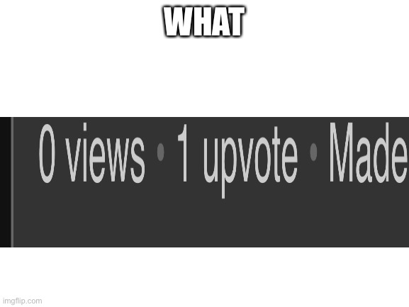 Blank White Template | WHAT | image tagged in blank white template | made w/ Imgflip meme maker