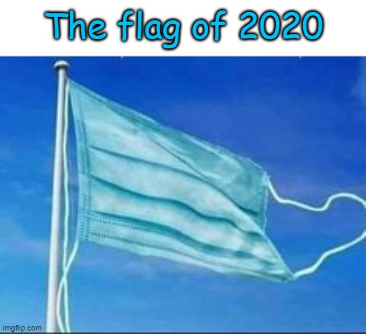 Covid in a nutshell | The flag of 2020 | image tagged in funny,covid-19 | made w/ Imgflip meme maker