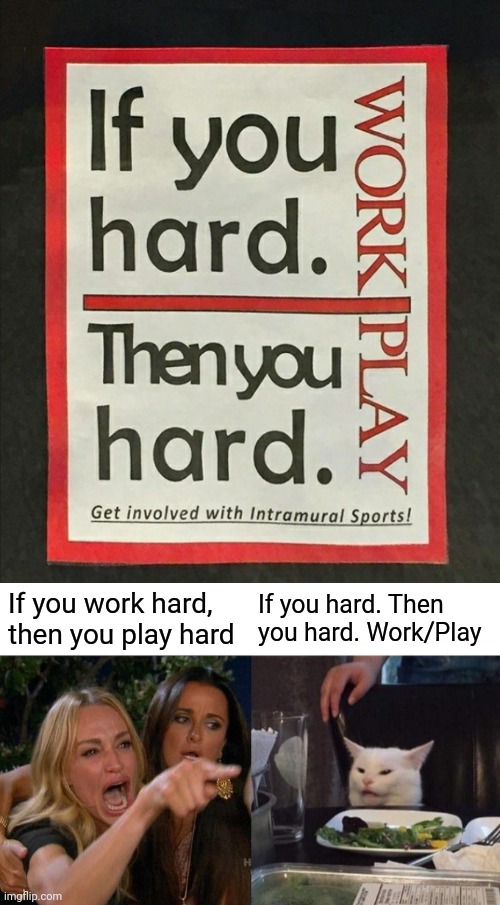 Join that Not-Good-At-Making-Signs Child Baseball Team Today! | If you work hard, then you play hard; If you hard. Then you hard. Work/Play | image tagged in woman yelling at cat,you had one job,if you hard,design fails | made w/ Imgflip meme maker