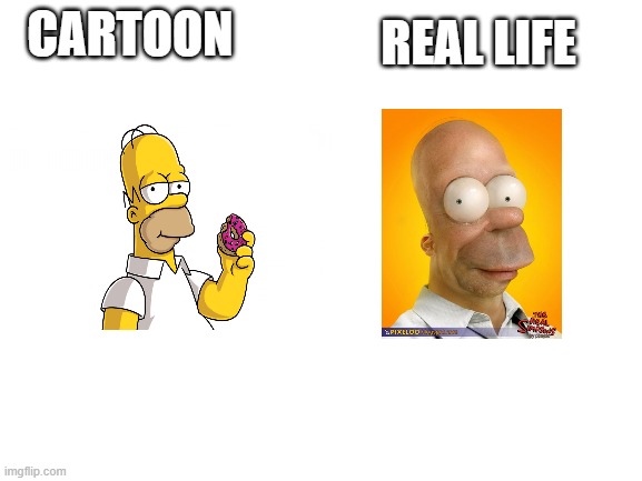cartoon vs Irl | REAL LIFE; CARTOON | image tagged in blank white template | made w/ Imgflip meme maker