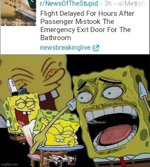 image tagged in spongebob laughing hysterically | made w/ Imgflip meme maker