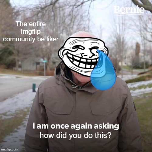 Bernie I Am Once Again Asking For Your Support Meme | The entire Imgflip community be like: how did you do this? | image tagged in memes,bernie i am once again asking for your support | made w/ Imgflip meme maker