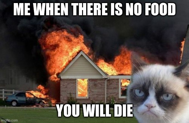 Burn Kitty | ME WHEN THERE IS NO FOOD; YOU WILL DIE | image tagged in memes,burn kitty,grumpy cat | made w/ Imgflip meme maker