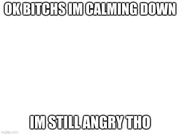 Blank White Template | OK BITCHS IM CALMING DOWN; IM STILL ANGRY THO | image tagged in blank white template | made w/ Imgflip meme maker