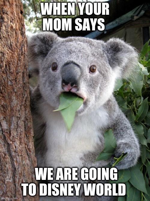 Surprised Koala |  WHEN YOUR MOM SAYS; WE ARE GOING TO DISNEY WORLD | image tagged in memes,surprised koala | made w/ Imgflip meme maker