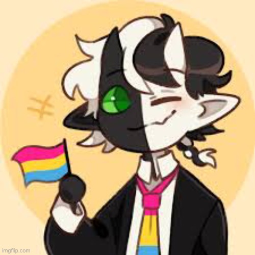 Ranboo Pansexual Fanart :D | made w/ Imgflip meme maker