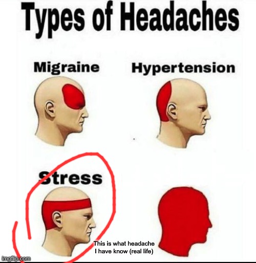 Types of Headaches meme | This is what headache I have know (real life) | image tagged in types of headaches meme | made w/ Imgflip meme maker