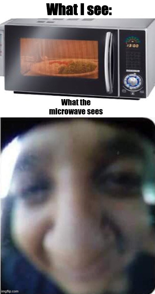 What I see: | What I see:; What the microwave sees | image tagged in microwave | made w/ Imgflip meme maker