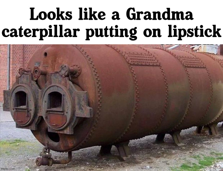 Thick glasses as well. | Looks like a Grandma caterpillar putting on lipstick | image tagged in caterpillar,grandma,lipstick | made w/ Imgflip meme maker