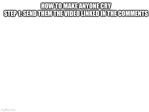 Blank White Template | HOW TO MAKE ANYONE CRY
STEP 1: SEND THEM THE VIDEO LINKED IN THE COMMENTS | image tagged in blank white template | made w/ Imgflip meme maker