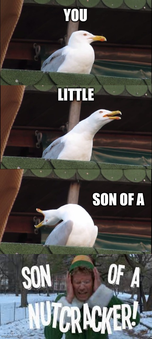 Inhaling Seagull Meme | YOU LITTLE SON OF A | image tagged in memes,inhaling seagull | made w/ Imgflip meme maker