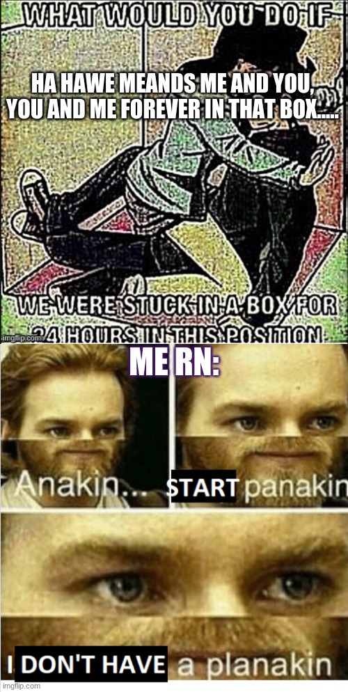 lol im a girl and omnisexual | HA HAWE MEANDS ME AND YOU, YOU AND ME FOREVER IN THAT BOX..... ME RN: | image tagged in anakin start panikin | made w/ Imgflip meme maker