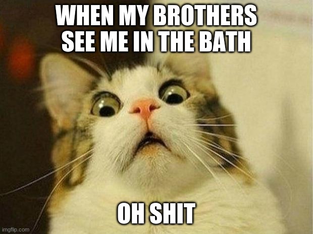 oh frick | WHEN MY BROTHERS SEE ME IN THE BATH; OH SHIT | image tagged in memes,scared cat | made w/ Imgflip meme maker