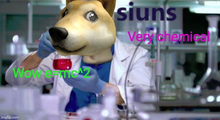 Siuns | Wow e=mc^2 Very chemical | image tagged in siuns | made w/ Imgflip meme maker