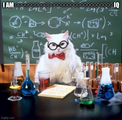 Chemistry Cat Meme | I AM ♾♾♾♾♾♾♾♾♾♾♾♾♾♾♾ IQ | image tagged in memes,chemistry cat | made w/ Imgflip meme maker
