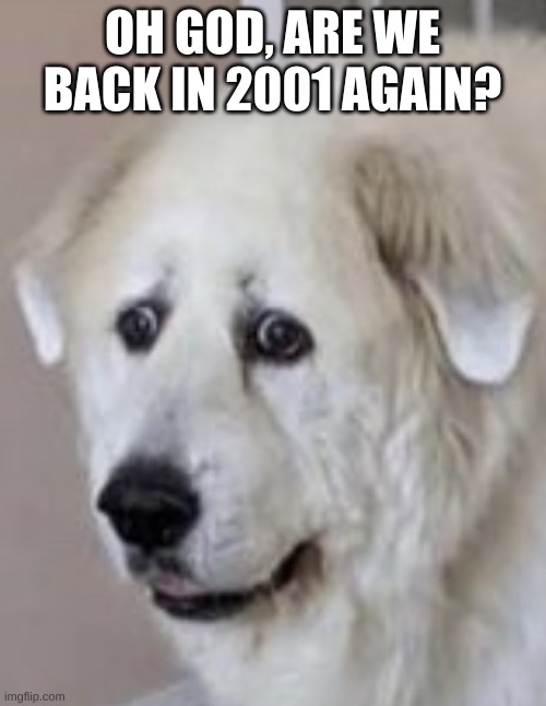 Nervous Dog | OH GOD, ARE WE BACK IN 2001 AGAIN? | image tagged in nervous dog | made w/ Imgflip meme maker