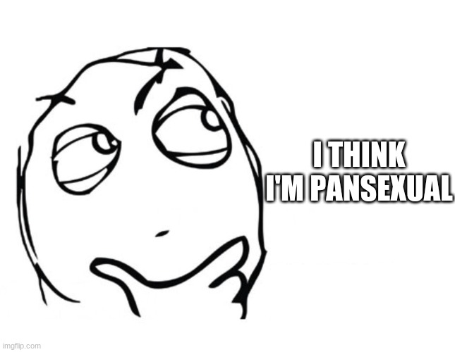 HMMMMM | I THINK I'M PANSEXUAL | image tagged in hmmm | made w/ Imgflip meme maker