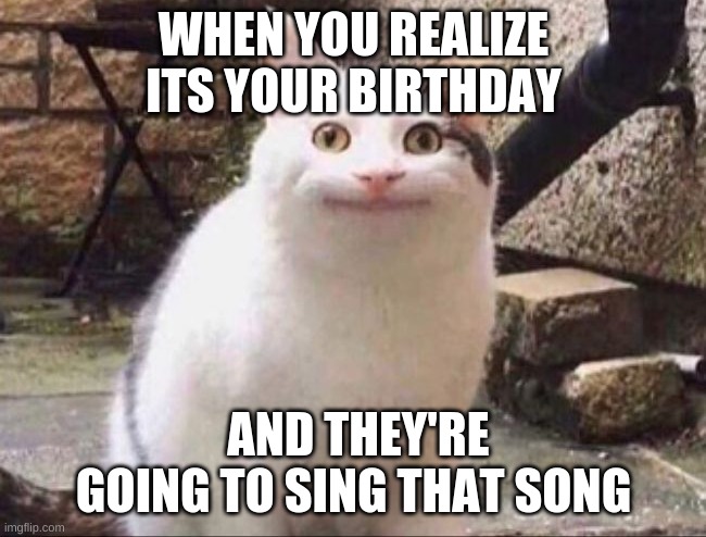 that song | WHEN YOU REALIZE ITS YOUR BIRTHDAY; AND THEY'RE GOING TO SING THAT SONG | image tagged in cursed image,weird stuff,cats | made w/ Imgflip meme maker