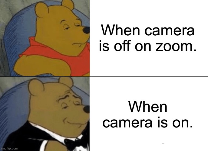 Tuxedo Winnie The Pooh Meme | When camera is off on zoom. When camera is on. | image tagged in memes,tuxedo winnie the pooh | made w/ Imgflip meme maker