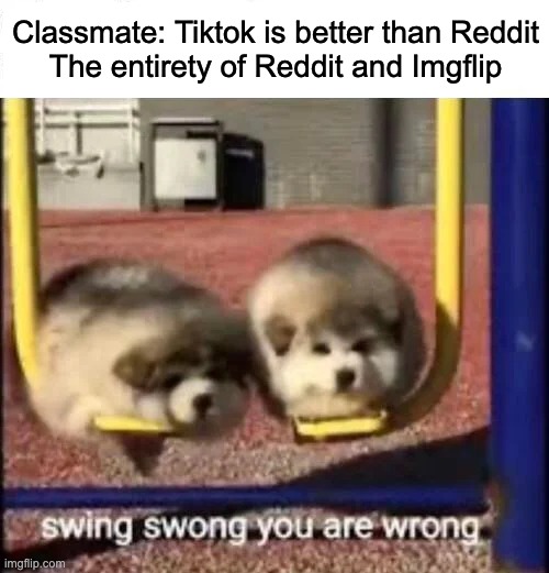 wrong | Classmate: Tiktok is better than Reddit
The entirety of Reddit and Imgflip | image tagged in swing swong you are wrong,tik tok sucks,reddit,imgflip,anti meme,tik tok | made w/ Imgflip meme maker