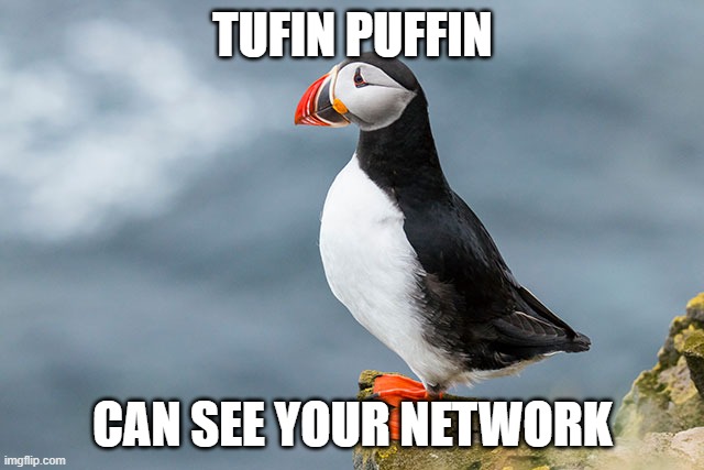 Tufin | TUFIN PUFFIN; CAN SEE YOUR NETWORK | image tagged in networking,tufin | made w/ Imgflip meme maker