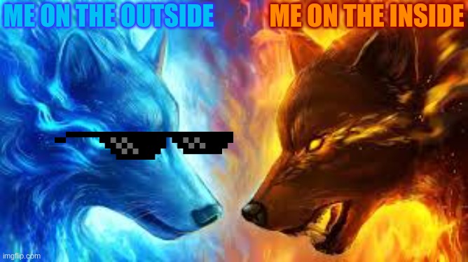 what people feel like | ME ON THE INSIDE; ME ON THE OUTSIDE | image tagged in wolf,fire,water | made w/ Imgflip meme maker